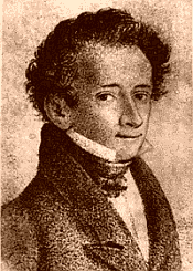 leopardi w